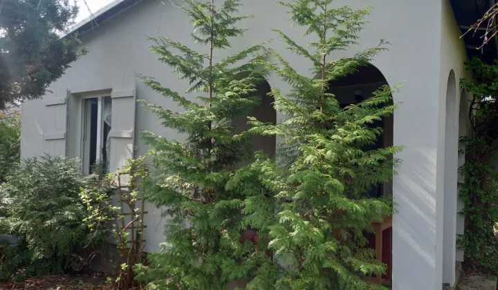 Działka rod Szczaki, ul. Mrokowska