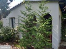 Działka rod Szczaki, ul. Mrokowska