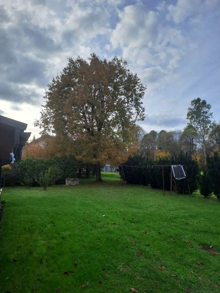 Mieszkanie 2-pokojowe Rożnowice. Zdjęcie 16