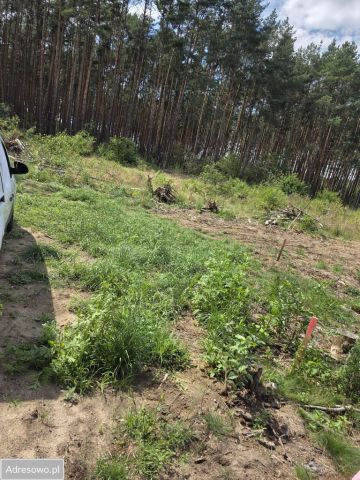 Działka budowlana Płoty. Zdjęcie 1