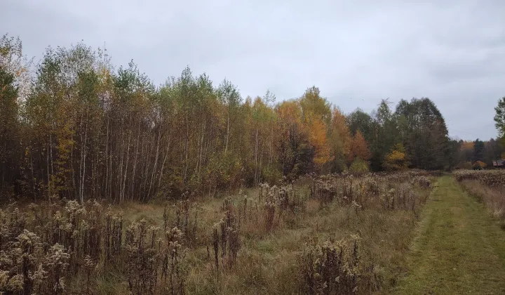 Działka budowlana Malcanów, ul. Akacjowa
