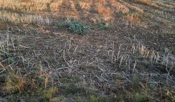 Działka rolno-budowlana Żmijewko, ul. Kwiatowa