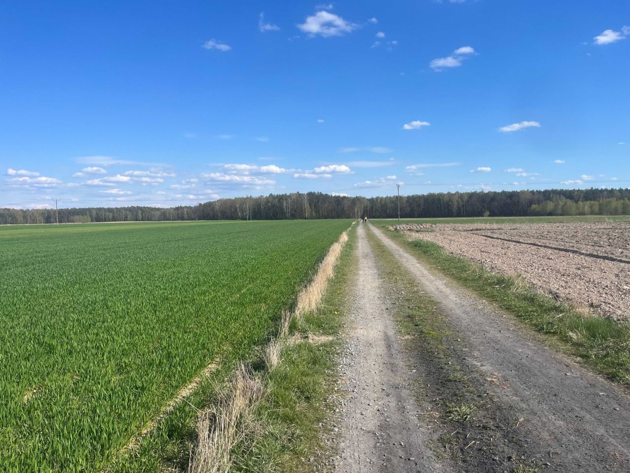 Działka budowlana Karwów. Zdjęcie 5