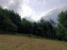 Działka Świnna. Zdjęcie 3