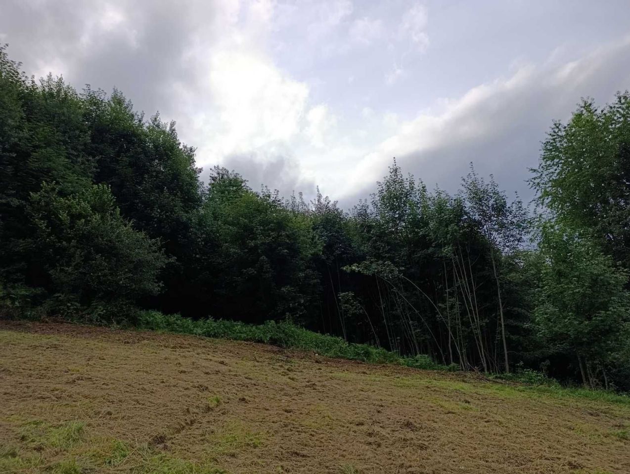 Działka Świnna. Zdjęcie 4