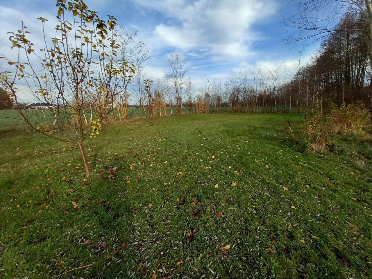 Działka inwestycyjna Krężoły, ul. Ziołowa. Zdjęcie 3