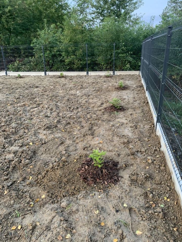 Działka inwestycyjna Nisko, ul. Torowa. Zdjęcie 4