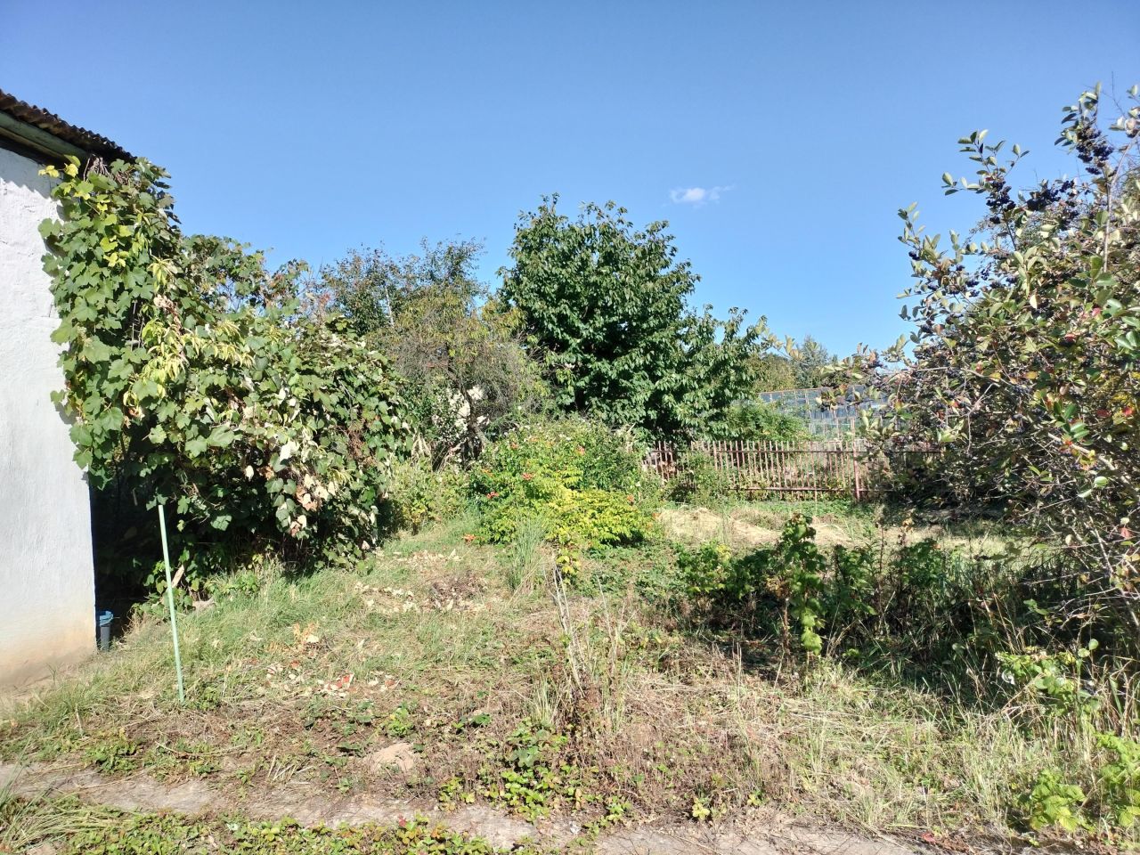 Działka rod Kraków Nowa Huta, ul. Sybiraków. Zdjęcie 3