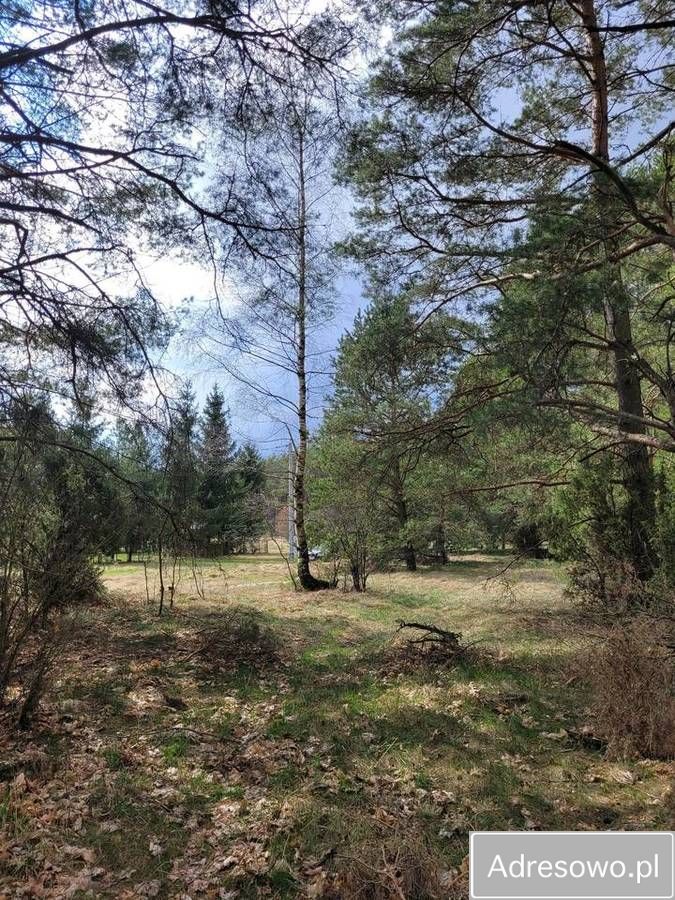Działka rekreacyjna Mącice. Zdjęcie 6