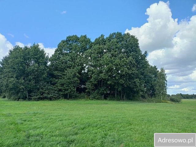 Działka rolna Dąbrowica. Zdjęcie 1