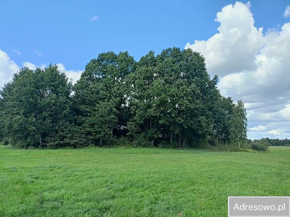 Działka rolna Dąbrowica