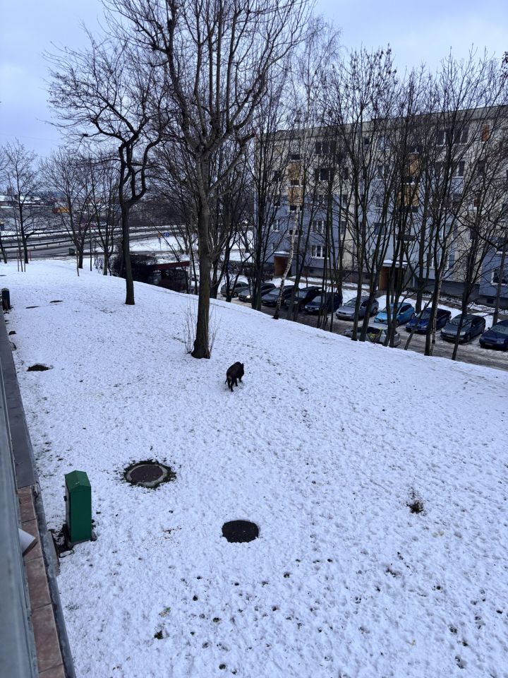 Mieszkanie 3-pokojowe Gdynia Obłuże, ul. adm. J. Unruga. Zdjęcie 7