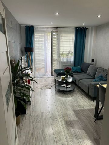 Mieszkanie 3-pokojowe Zabrze Zaborze. Zdjęcie 1