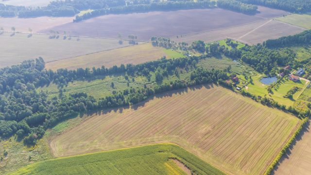 Działka rolno-budowlana Gołębiewo. Zdjęcie 1