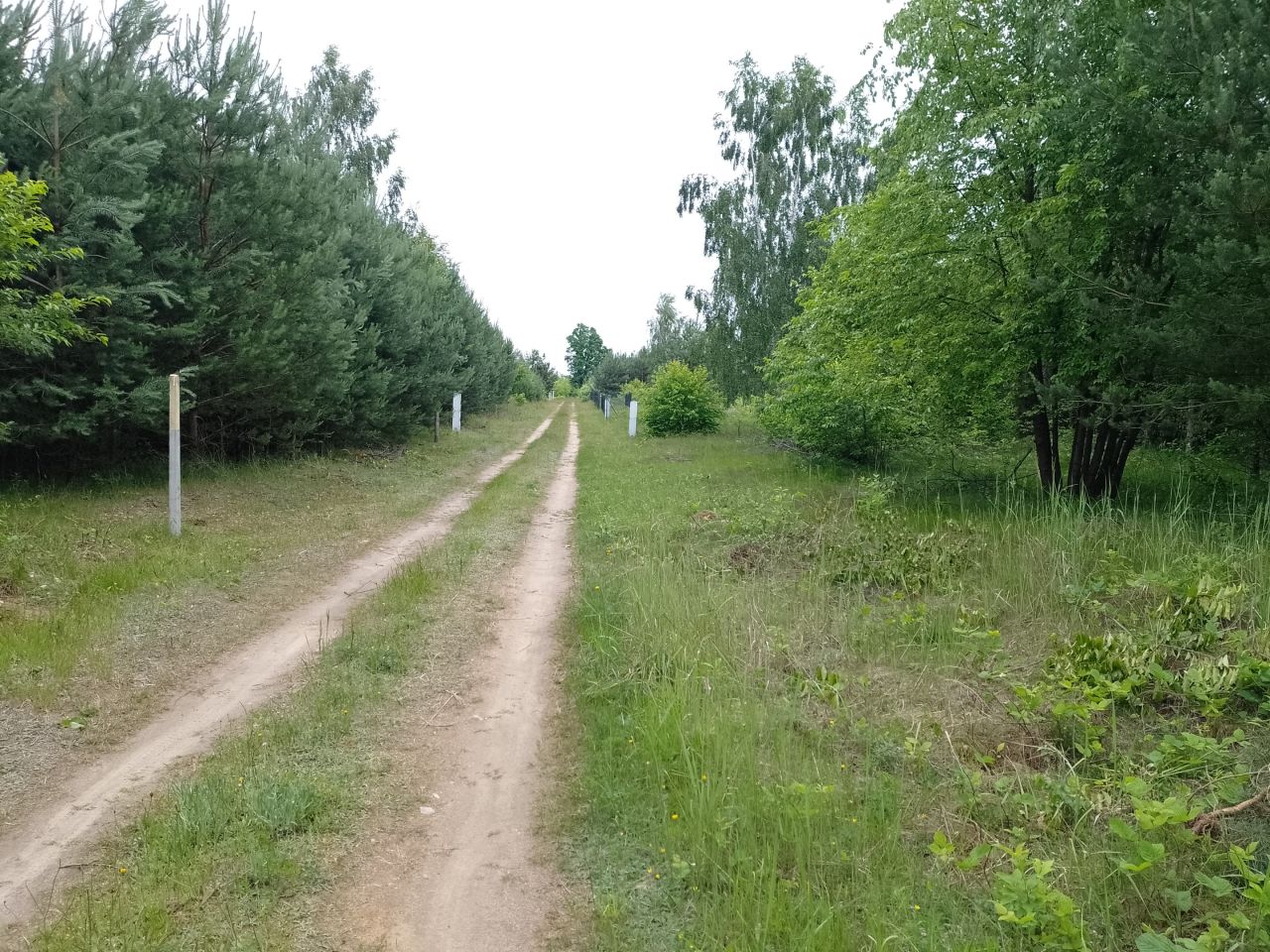 Działka rekreacyjna Czyżemin, Czyżemin 49w. Zdjęcie 4