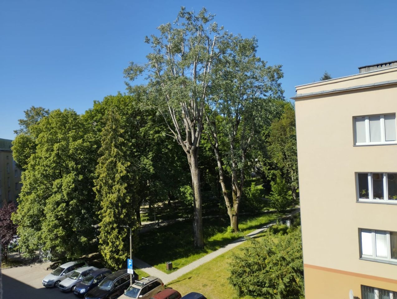 Mieszkanie 1-pokojowe Łódź Doły, ul. Zmienna. Zdjęcie 8