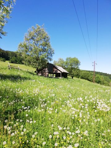 Działka rolno-budowlana Chrośnica. Zdjęcie 1