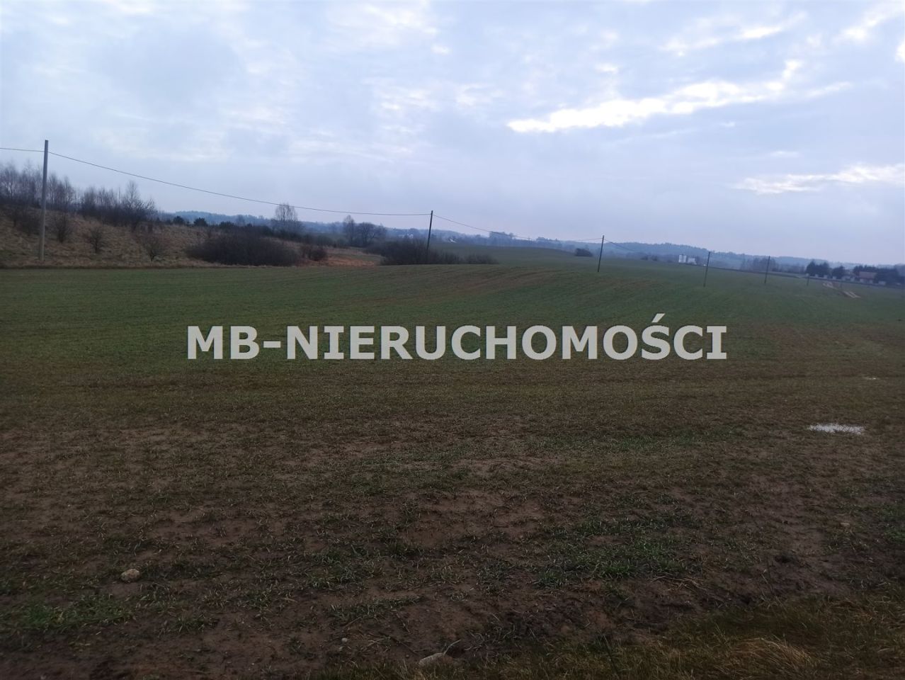 Działka budowlana Królikowo. Zdjęcie 5