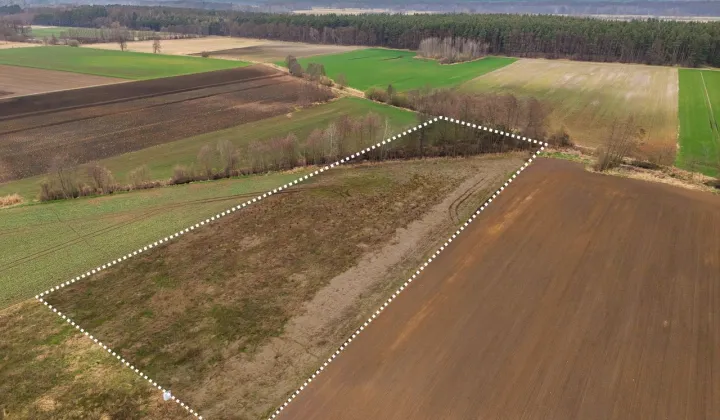 Działka siedliskowa Bychowo