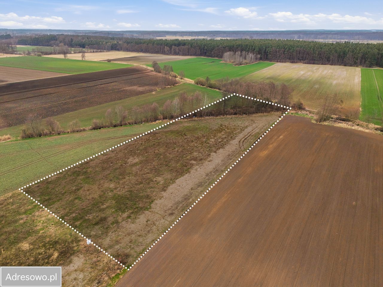 Działka siedliskowa Bychowo. Zdjęcie 1