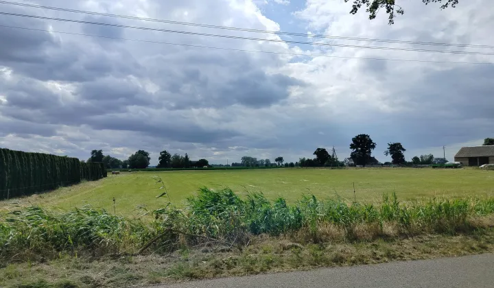 Działka rolna Głuchowo-Kolonia, Lemierzycka