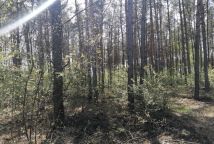 Działka budowlana Białasy. Zdjęcie 1