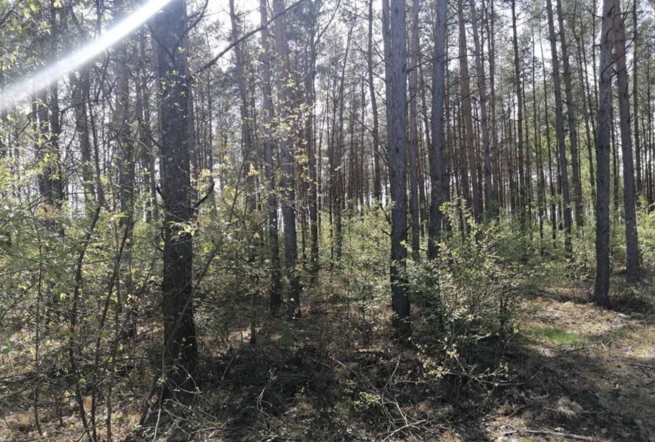 Działka budowlana Białasy. Zdjęcie 2