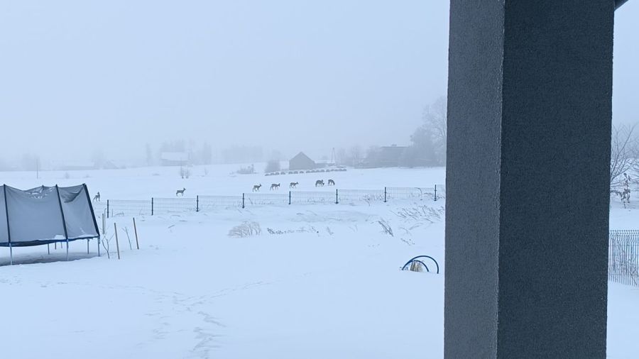 dom wolnostojący, 7 pokoi Kielno, ul. Miodowa. Zdjęcie 11