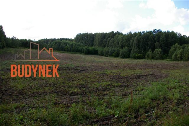 Działka rolna Lejkowo. Zdjęcie 7