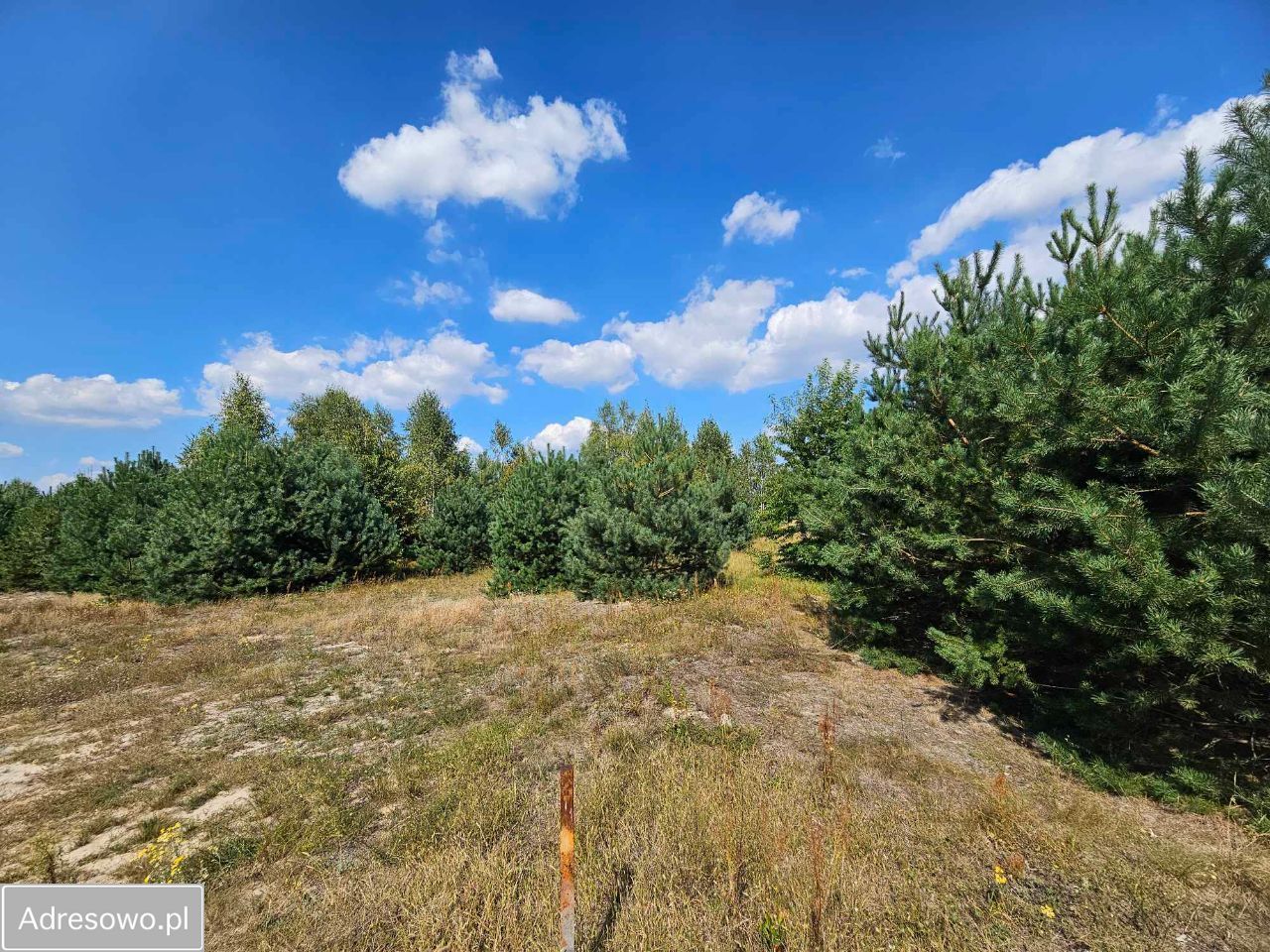 Działka budowlana Gulczewo, ul. Centralna. Zdjęcie 4