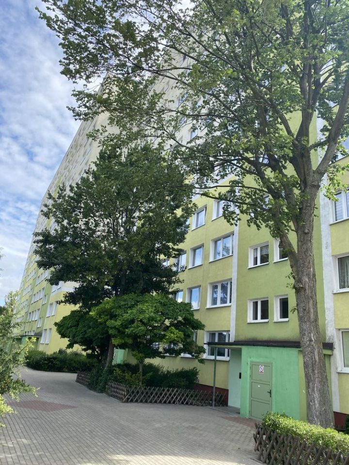 Mieszkanie 2-pokojowe Płock, ul. Adama Mickiewicza