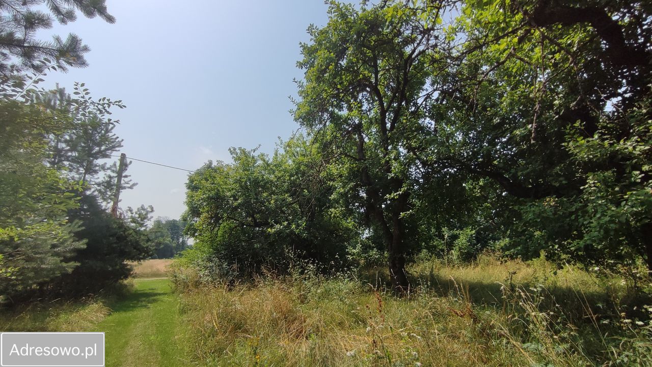 Działka budowlana Milejczyce. Zdjęcie 4