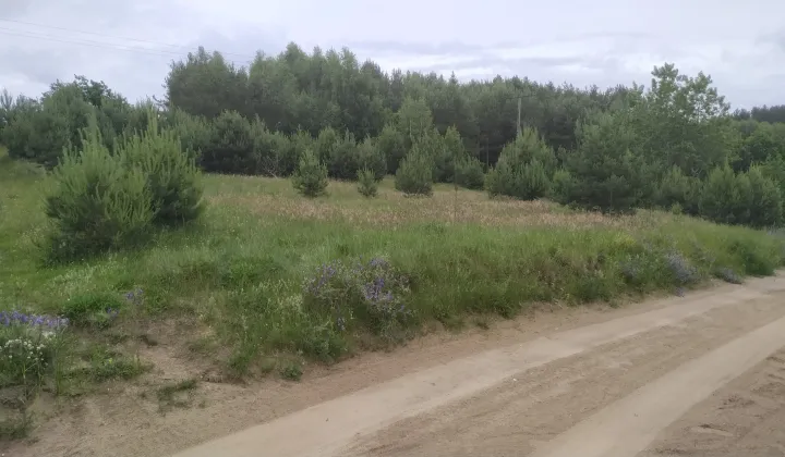 Działka budowlana Goręczyno, ul. Łąkowa