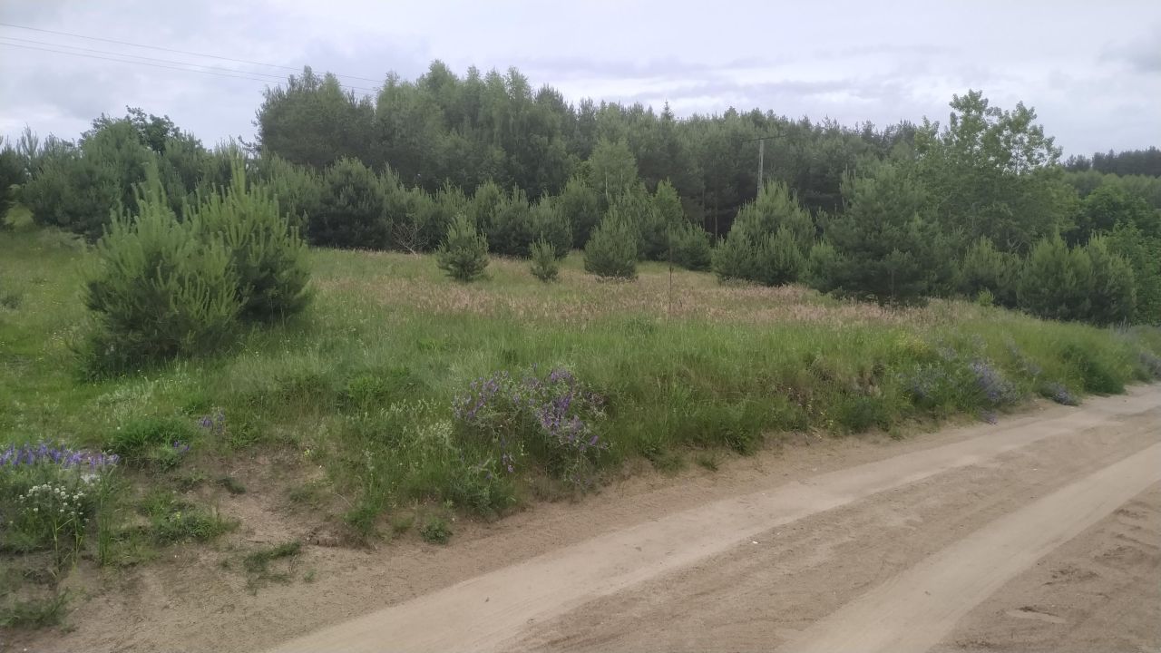 Działka budowlana Goręczyno, ul. Łąkowa. Zdjęcie 1