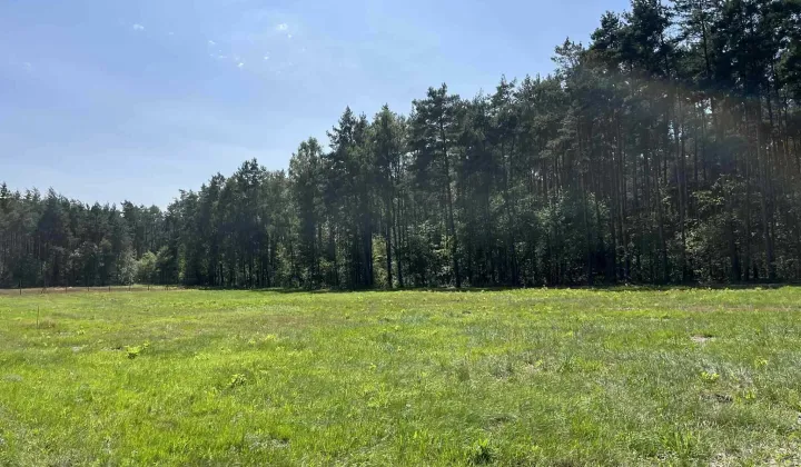 Działka budowlana Zalesna