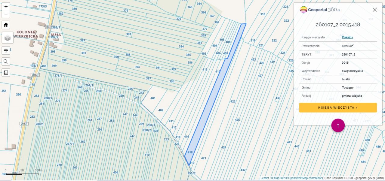 Działka rolna Wierzbica. Zdjęcie 5