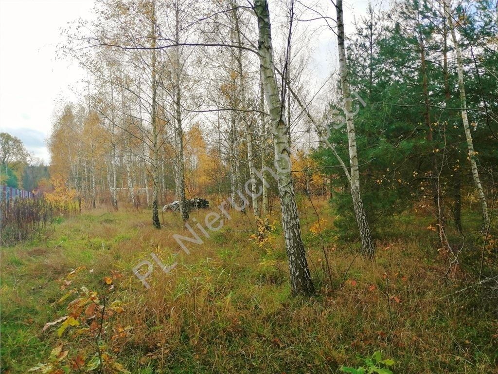 Działka budowlana Nowe Załubice, ul. Kościelna. Zdjęcie 3