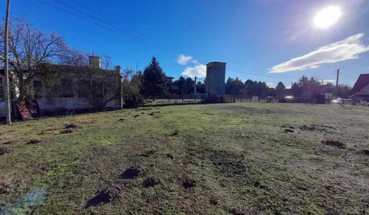 Hala/magazyn Lizawice