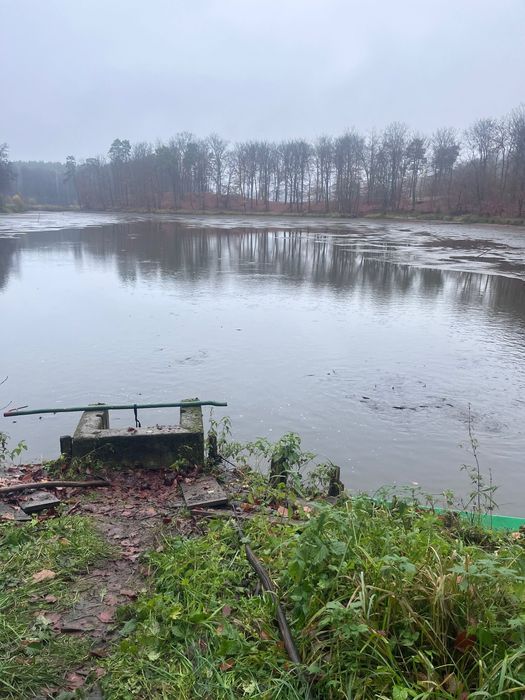 Działka rolna Mironice. Zdjęcie 5