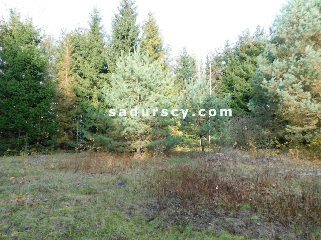 Działka budowlana Biały Ług. Zdjęcie 26