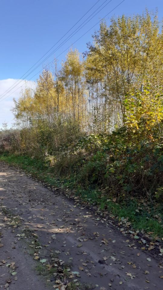 Działka rolno-budowlana Łubowo, ul. Polna. Zdjęcie 3