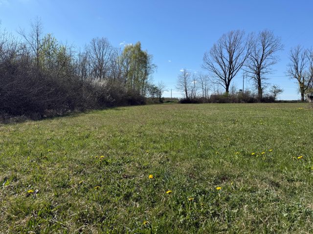 Działka budowlana Ruchenka, ul. Lipowa. Zdjęcie 5