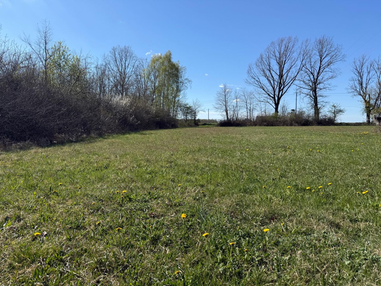 Działka budowlana Ruchenka, ul. Lipowa. Zdjęcie 5