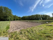 Działka budowlana Zarzecze. Zdjęcie 2