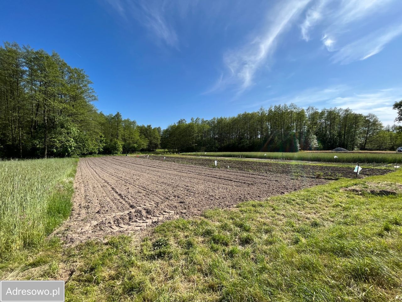 Działka budowlana Zarzecze. Zdjęcie 3