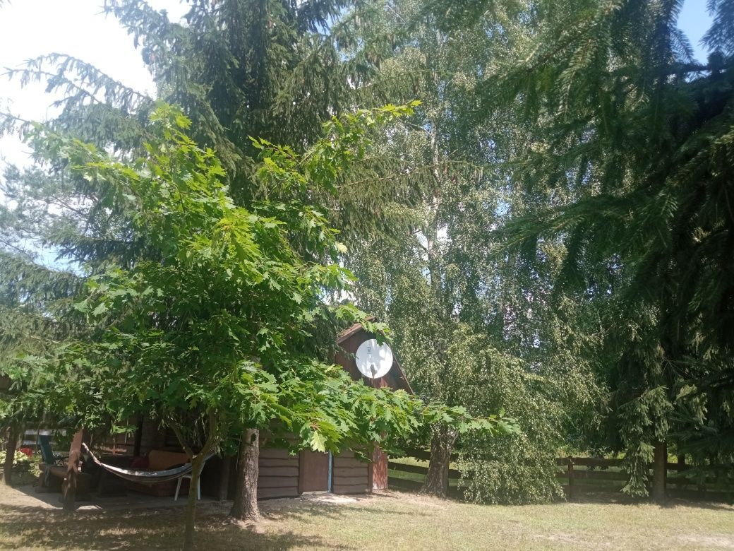 Działka rekreacyjna Starosiele. Zdjęcie 3