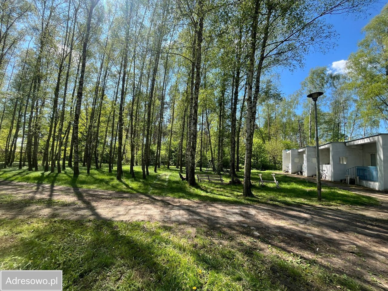 Nieruchomość komercyjna Mikorzyn. Zdjęcie 11