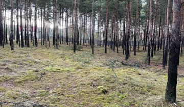 Działka leśna Olsztyn, ul. Zielona