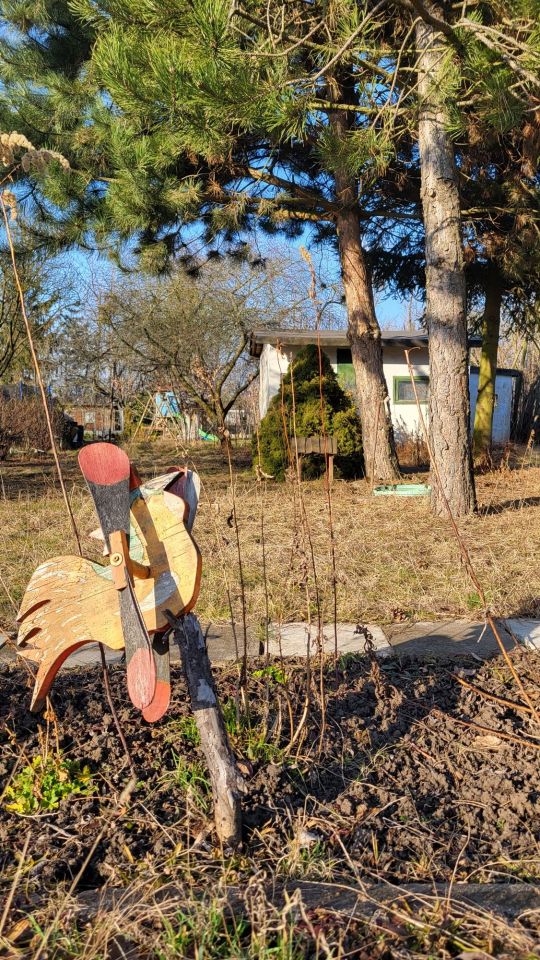 Działka rod Wrocław Jagodno. Zdjęcie 5