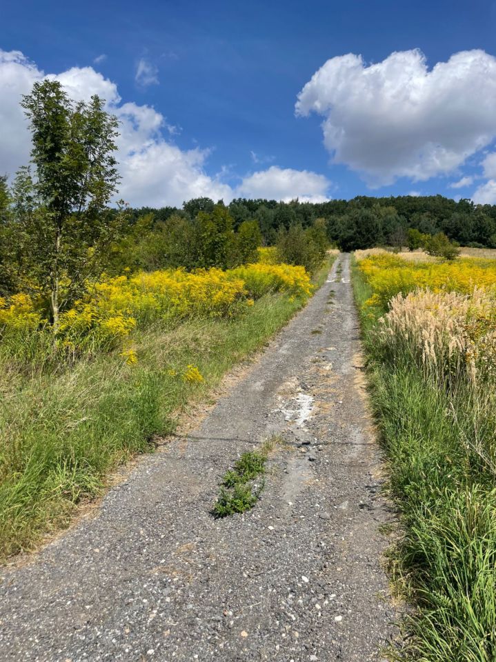 Działka budowlana Zamłynie. Zdjęcie 6